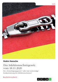 Das Infektionsschutzgesetz vom 18.11.2020. Ein „Ermächtigungsgesetz“ oder eine notwendige Konkretisierung des Infektionsschutzes? - Robin Hansche - E-Book