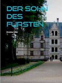 Der Sohn des Fürsten - Christine Stutz - E-Book
