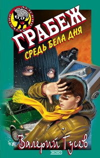 Грабеж средь бела дня - Валерий Гусев - E-Book