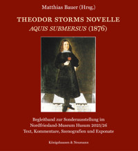 Theodor Storms Novelle Aquis submersus (1876) -  - E-Book