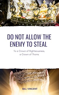 Do Not Allow the Enemy to Steal - Bill Vincent - E-Book