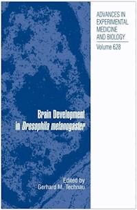 Brain Development in Drosophila melanogaster -  - E-Book
