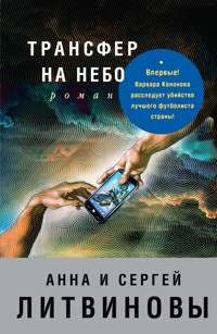 Трансфер на небо - Анна Литвинова - E-Book