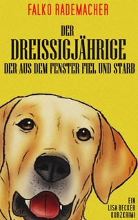 Der Dreißigjährige der aus dem Fenster fiel und starb - Falko Rademacher - E-Book