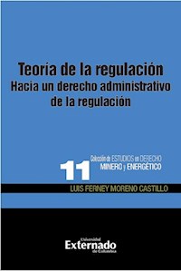 Teoría de la regulación - Luis Ferney Moreno Castillo - E-Book