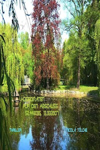 Koordinaten für den Abschuss 52.448095, 13.333907 - Nicolà Tölcke - E-Book