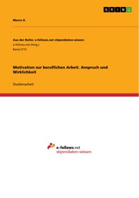 Motivation zur beruflichen Arbeit. Anspruch und Wirklichkeit - Marco H. - E-Book