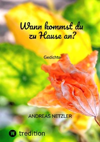 Wann kommst du zu Hause an? - Andreas Netzler - E-Book