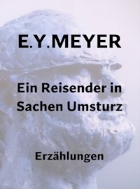 Ein Reisender in Sachen Umsturz - E. Y. Meyer - E-Book