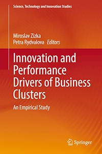 Innovation and Performance Drivers of Business Clusters -  - E-Book
