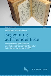 Begegnung auf fremder Erde - Sebastian Schirrmeister - E-Book