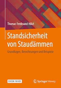 Standsicherheit von Staudämmen - Thomas Ferdinand Hölzl - E-Book