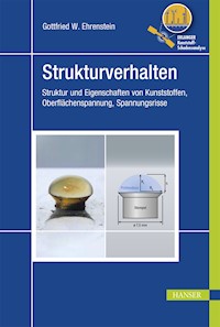 Strukturverhalten - Gottfried W. Ehrenstein - E-Book