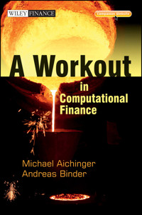 A Workout in Computational Finance - Andreas Binder - E-Book