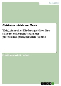 Tätigkeit in einer Kindertagesstätte. Eine selbstreflexive Betrachtung der professionell pädagogischen Haltung - Christopher Luis Maraver Munoz - E-Book