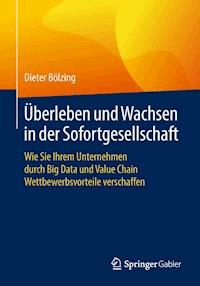 Überleben und Wachsen in der Sofortgesellschaft - Dieter Bölzing - E-Book