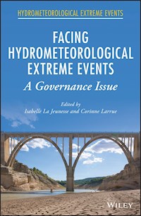 Facing Hydrometeorological Extreme Events -  - E-Book