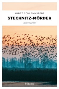Stecknitz-Mörder - Jobst Schlennstedt - E-Book