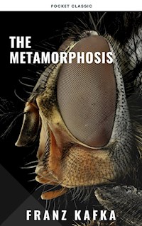 The Metamorphosis - Franz  kafka - E-Book