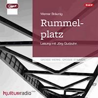 Rummelplatz - Werner Bräunig - Hörbuch