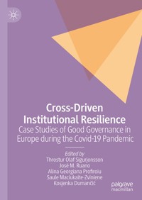 Cross-Driven Institutional Resilience -  - E-Book