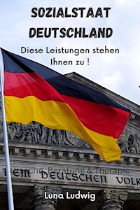 Sozialstaat Deutschland - Luna Ludwig - E-Book
