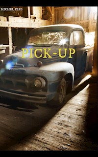 Pick-up - Michel Ples - E-Book