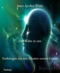 Der Wahn in uns - James Apollon White - E-Book