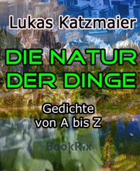 Die Natur der Dinge - Lukas Katzmaier - E-Book