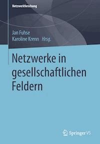 Netzwerke in gesellschaftlichen Feldern -  - E-Book