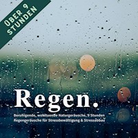 Regen & Regengeräusche: Beruhigende, wohltuende Naturgeräusche für Stressbewältigung & Stressabbau - Institut für Stressreduktion - Hörbuch