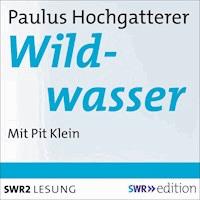 Wildwasser - Paulus Hochgatterer - Hörbuch