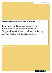 Relevanz von Finanzkennzahlen für mittelständische Unternehmen im Vergleich zu Großunternehmen in Bezug auf das Rating bei Kreditvergaben - Thorben Lennermann - E-Book