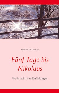 Fünf Tage bis Nikolaus - Reinhold A. Güthler - E-Book