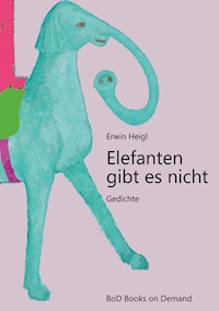 Elefanten gibt es nicht - Erwin Heigl - E-Book