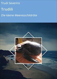 Trudili - Trudi Severins - E-Book