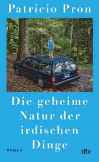 Die geheime Natur der irdischen Dinge - Patricio Pron - E-Book