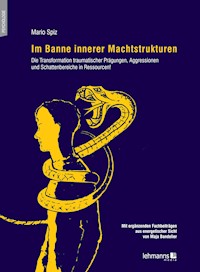 Im Banne innerer Machtstrukturen - Mario Spiz - E-Book