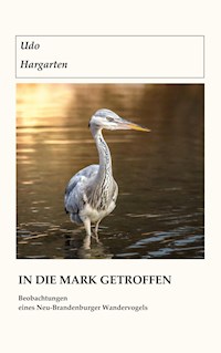 In die Mark getroffen - Udo Hargarten - E-Book