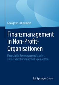 Finanzmanagement in Non-Profit-Organisationen - Georg von Schnurbein - E-Book