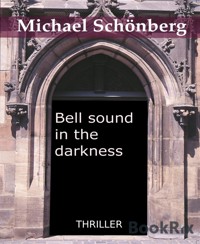 Bell sound in the darkness - Michael Schönberg - E-Book