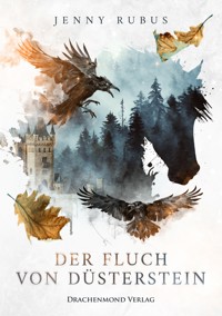 Der Fluch von Düsterstein - Jenny Rubus - E-Book