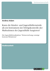Kann die Kinder- und Jugendhilfestatistik als ein Instrument der Erfolgskontrolle der Maßnahmen der Jugendhilfe fungieren? - Andrea Adam - E-Book