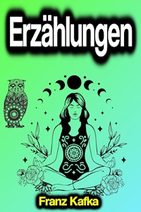 Erzählungen - Franz  kafka - E-Book