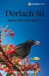 Dòrlach Sil - Maoilios Caimbeul - E-Book