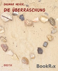 Die Überraschung - Dagmar Heyer - E-Book