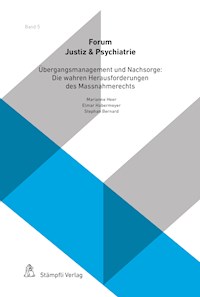 Übergangsmanagement und Nachsorge: Die wahren Herausforderungen des Massnahmerechts - Benjamin F. Brägger - E-Book