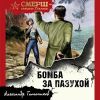 Бомба за пазухой - Тамоников Александр - Hörbuch