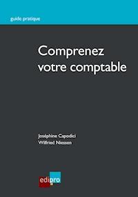 Comprenez votre comptable - Joséphine Capodici - E-Book