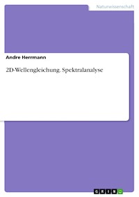 2D-Wellengleichung. Spektralanalyse - André Herrmann - E-Book